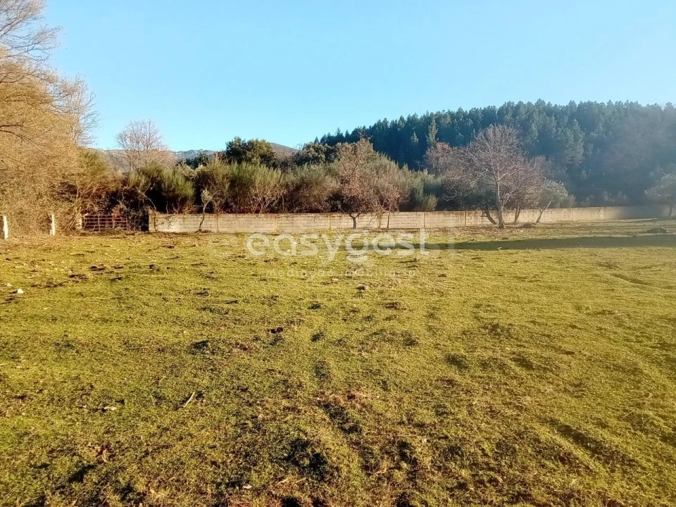 Terreno Misto para Venda em Souto da Casa Foto 2