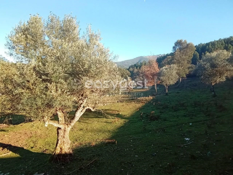 Terreno Misto para Venda em Souto da Casa Foto 4