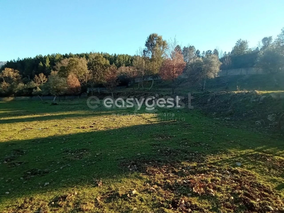 Terreno Misto para Venda em Souto da Casa Foto 6