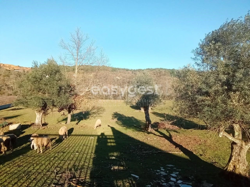 Terreno Misto para Venda em Souto da Casa Foto 7