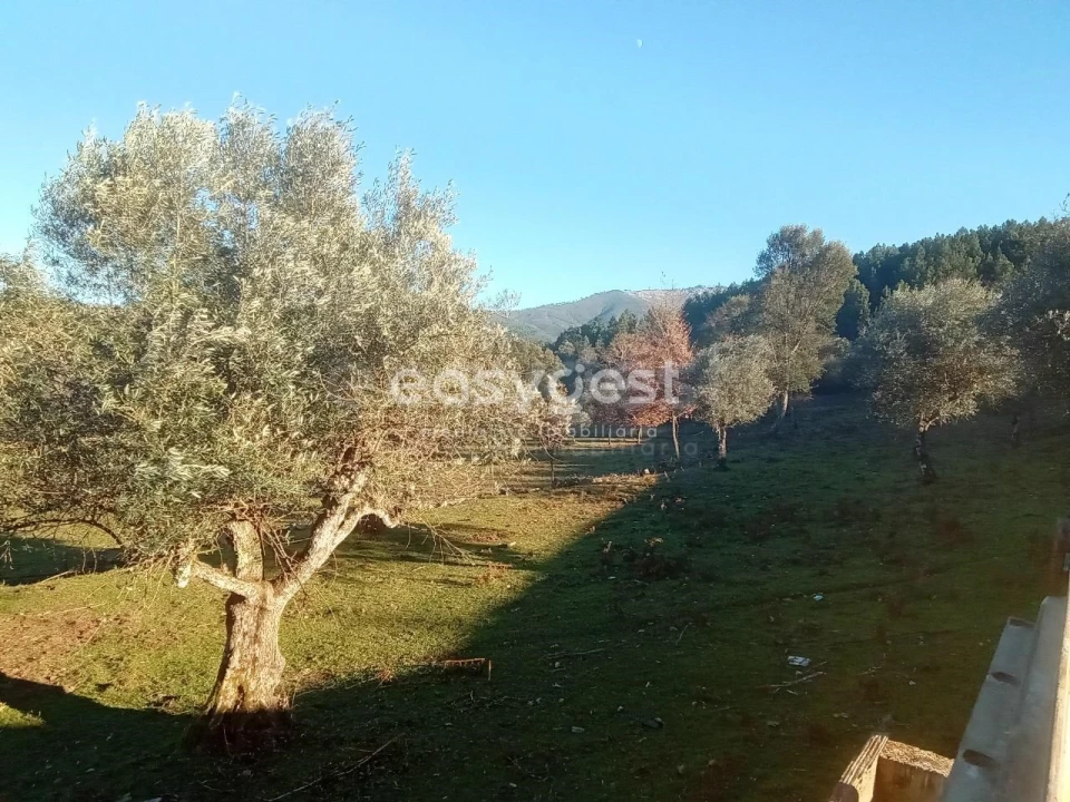 Terreno Misto para Venda em Souto da Casa Foto 12