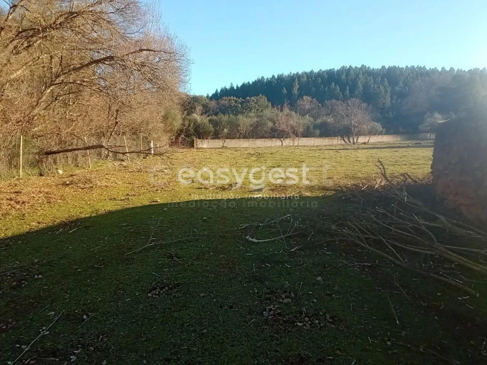 Terreno Misto para Venda em Souto da Casa Foto 13