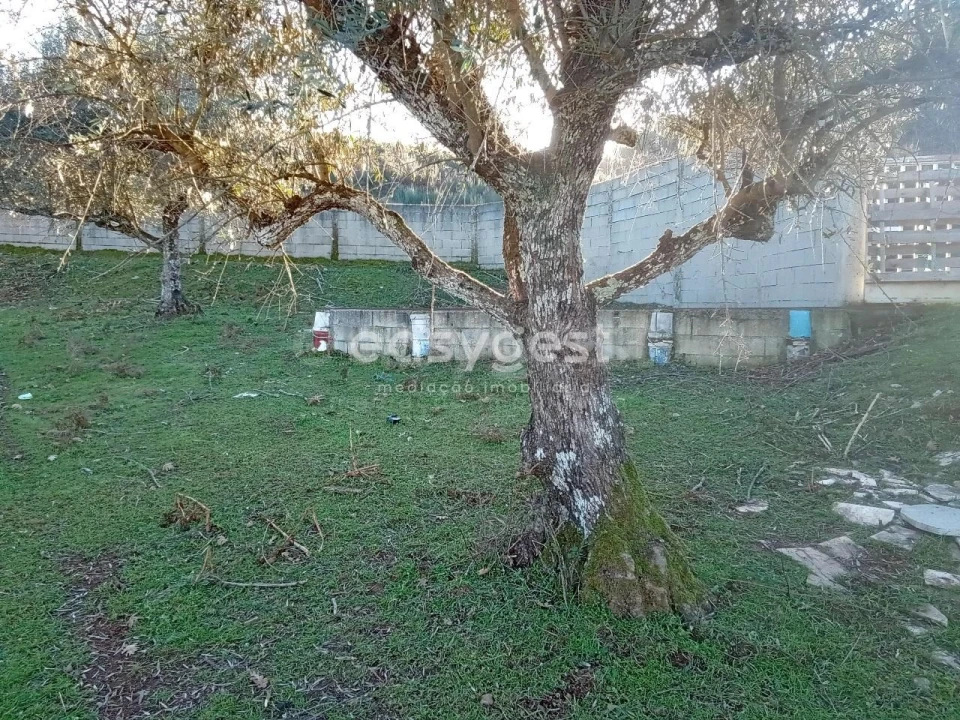 Terreno Misto para Venda em Souto da Casa Foto 14