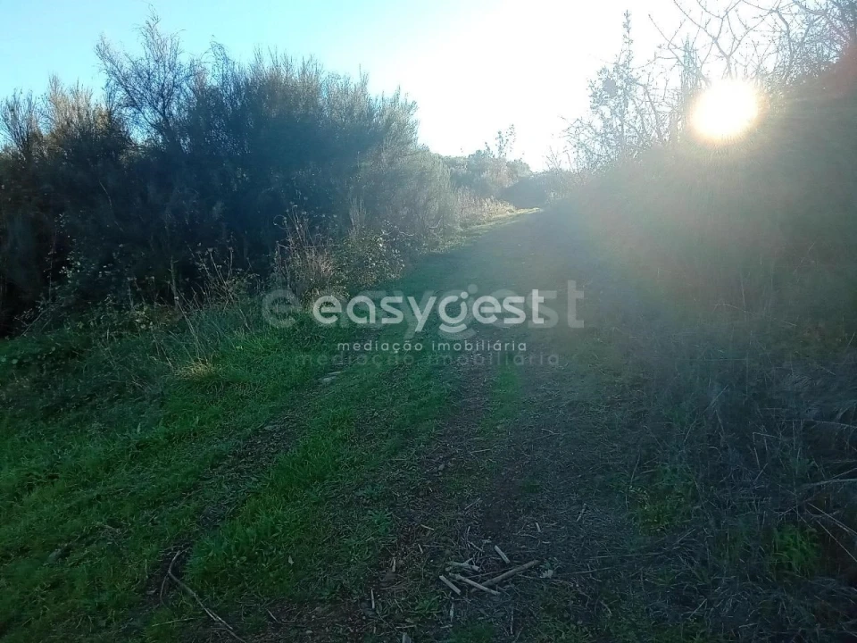 Terreno Misto para Venda em Souto da Casa Foto 18