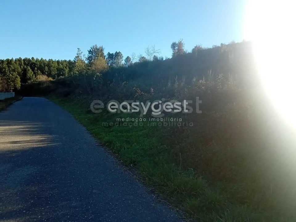 Terreno Misto para Venda em Souto da Casa Foto 21