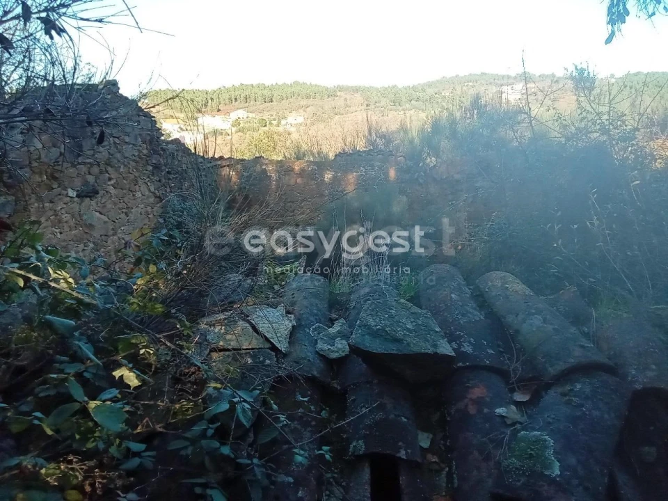 Terreno Misto para Venda em Souto da Casa Foto 22