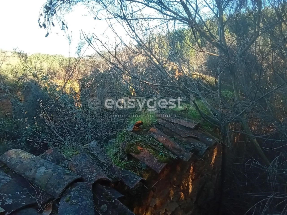 Terreno Misto para Venda em Souto da Casa Foto 23