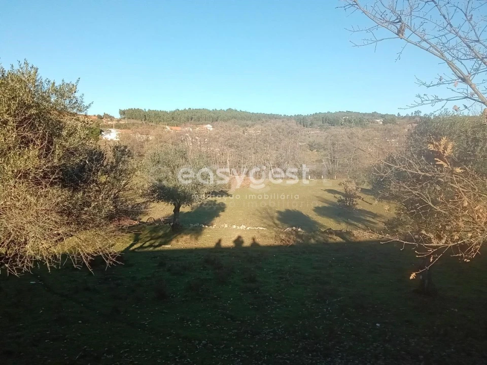 Terreno Misto para Venda em Souto da Casa Foto 24