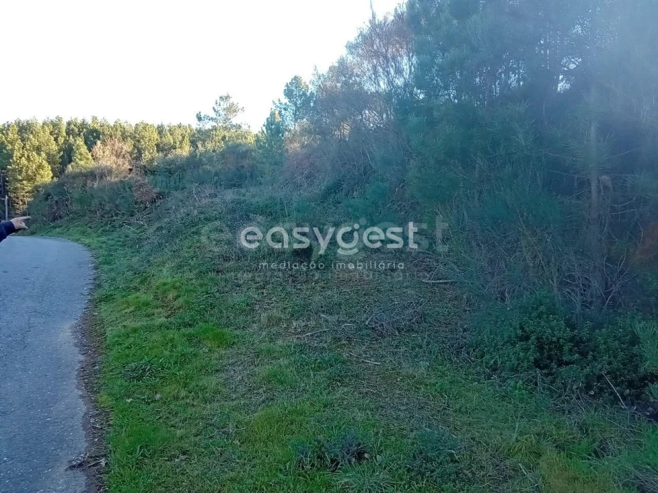 Terreno Misto para Venda em Souto da Casa Foto 25