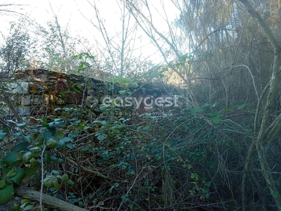 Terreno Misto para Venda em Souto da Casa Foto 26