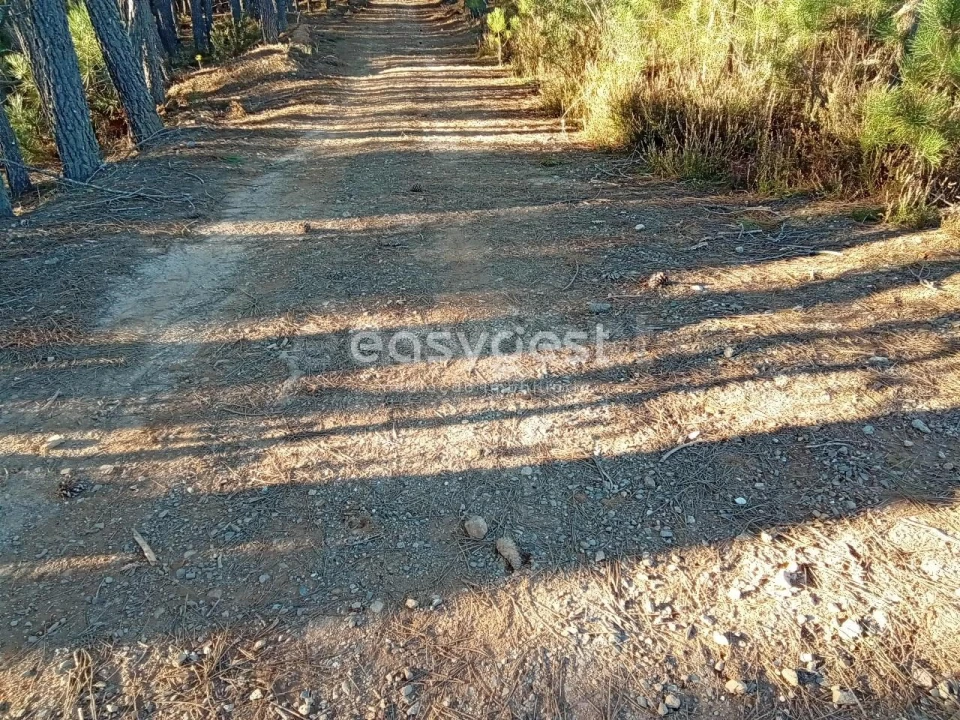 Terreno Misto para Venda em Souto da Casa Foto 27