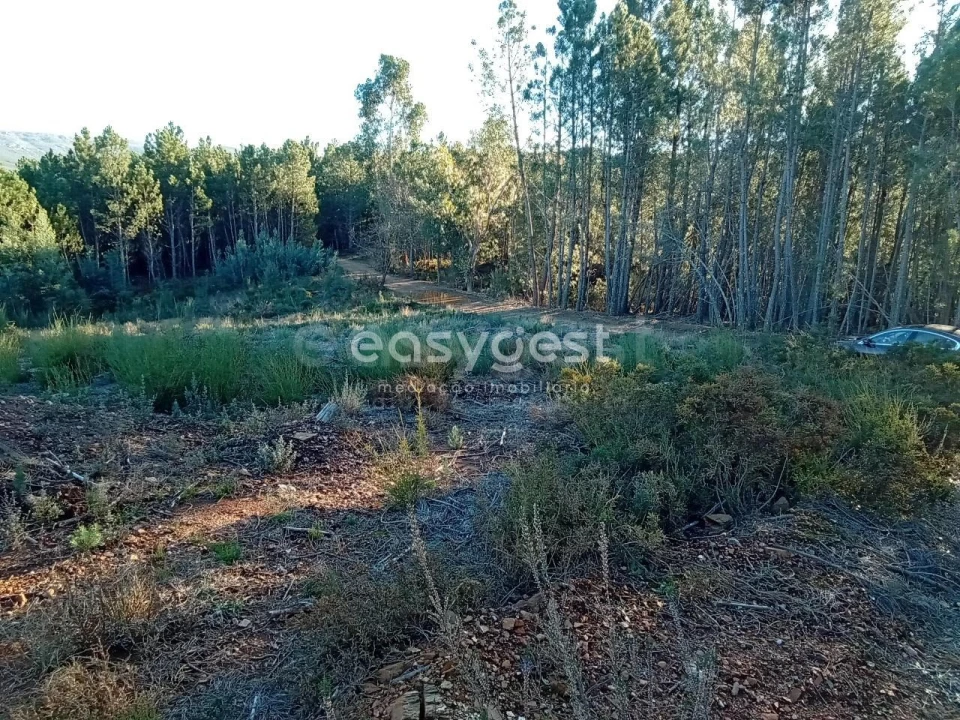 Terreno Misto para Venda em Souto da Casa Foto 28