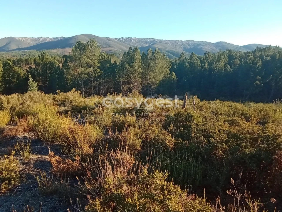 Terreno Misto para Venda em Souto da Casa Foto 29