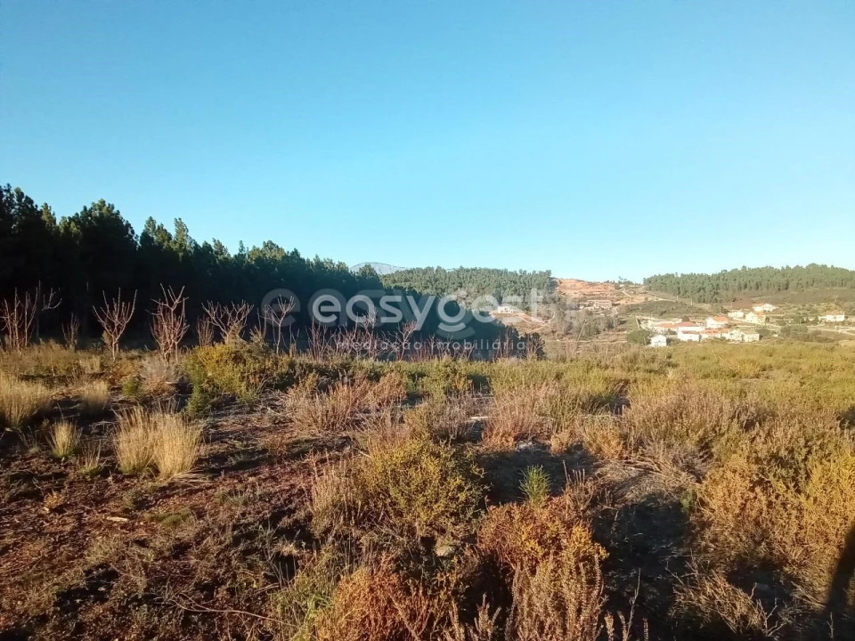 Terreno Misto para Venda em Souto da Casa Foto 30