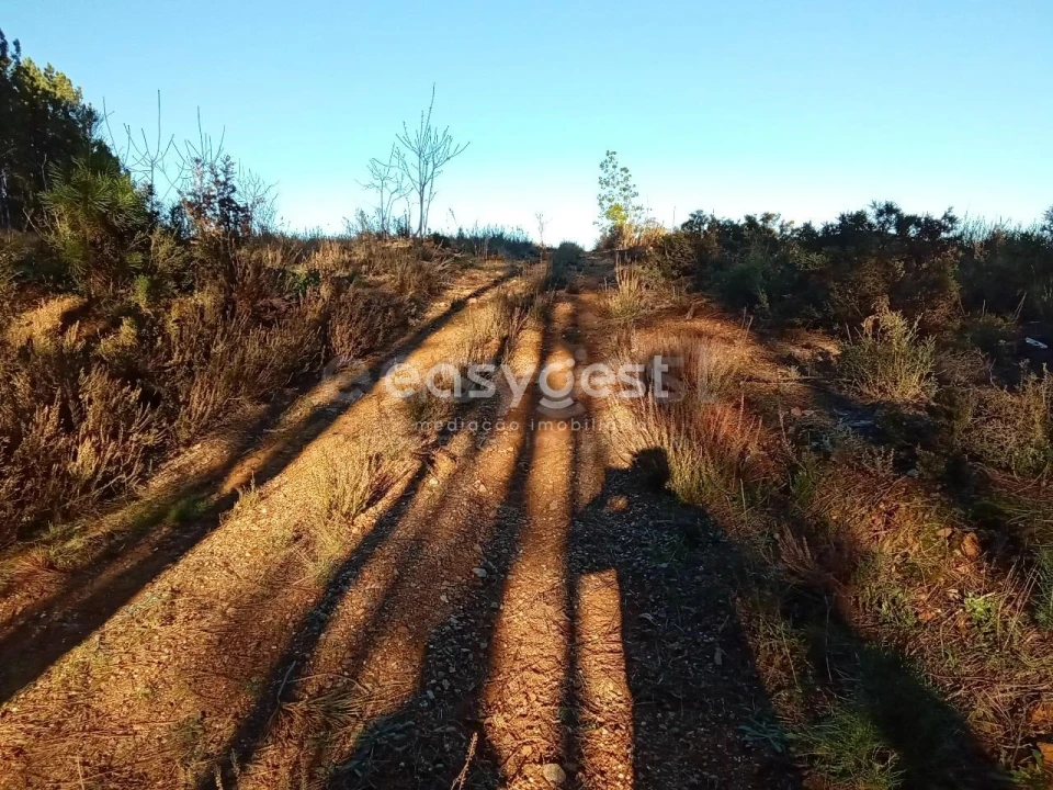 Terreno Misto para Venda em Souto da Casa Foto 31