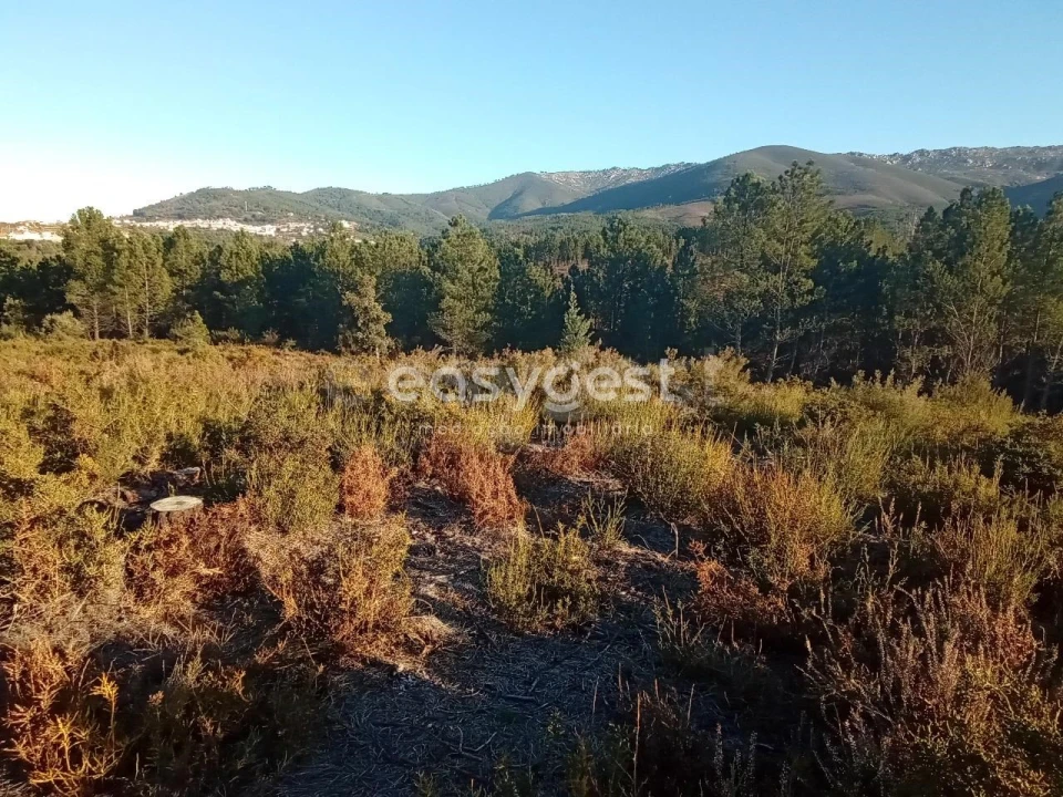 Terreno Misto para Venda em Souto da Casa Foto 32