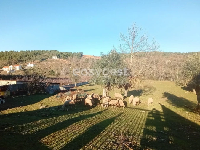 Terreno Misto para Venda em Souto da Casa Foto 3