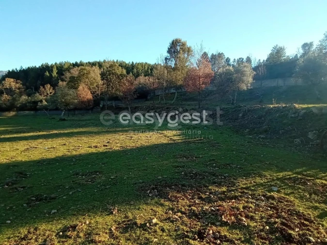 Terreno Misto para Venda em Souto da Casa Foto 6