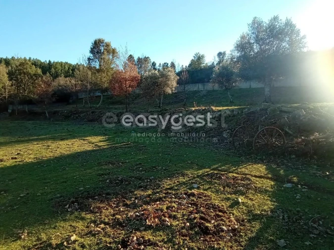Terreno Misto para Venda em Souto da Casa Foto 8