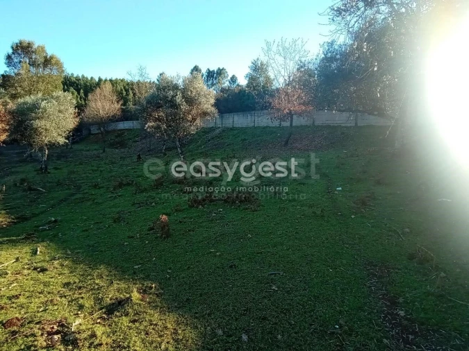 Terreno Misto para Venda em Souto da Casa Foto 17