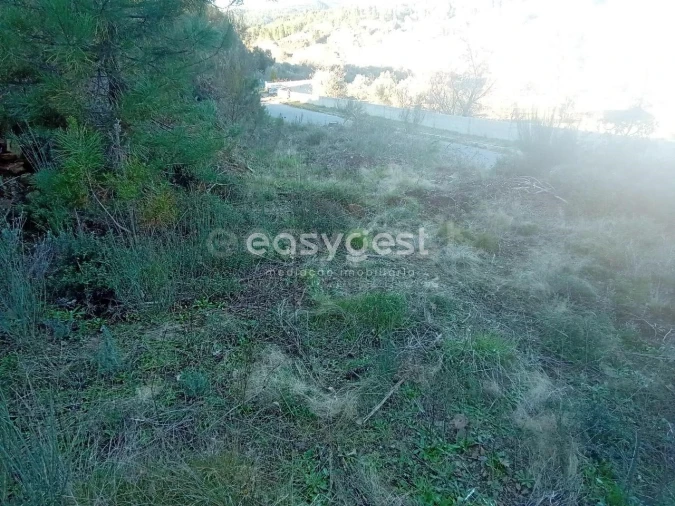 Terreno Misto para Venda em Souto da Casa Foto 19