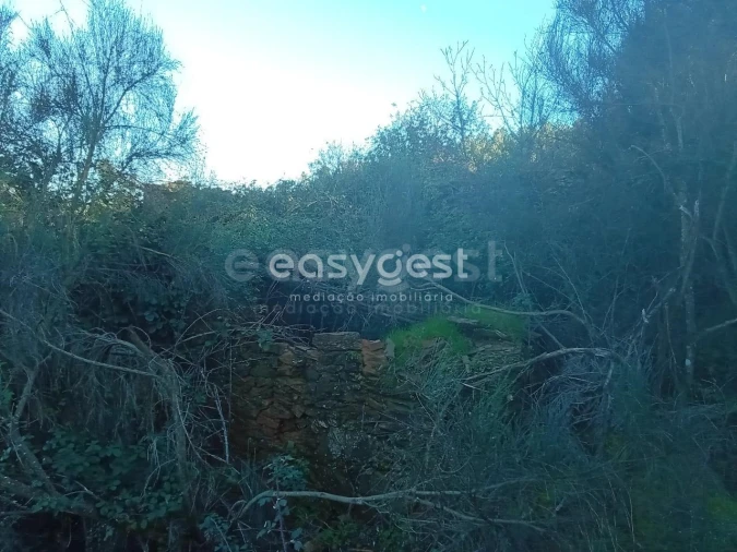 Terreno Misto para Venda em Souto da Casa Foto 20