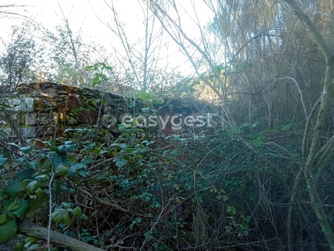 Terreno Misto para Venda em Souto da Casa Foto 26