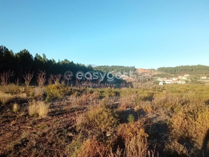Terreno Misto para Venda em Souto da Casa Foto 30