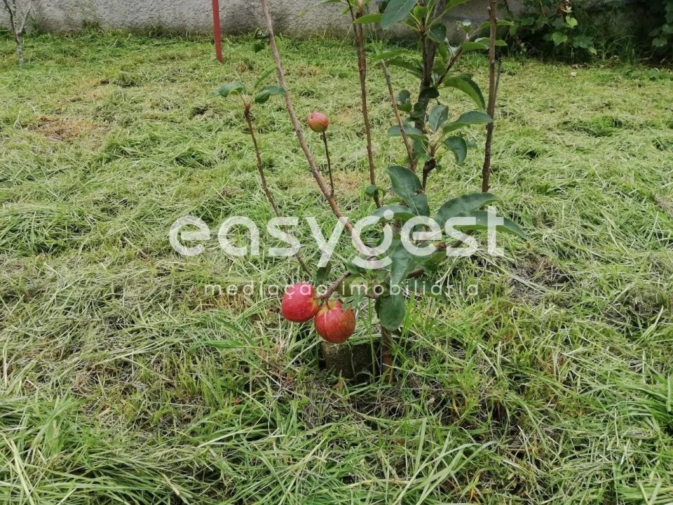 Moradia T4 para Venda em Fontinhas Foto 21