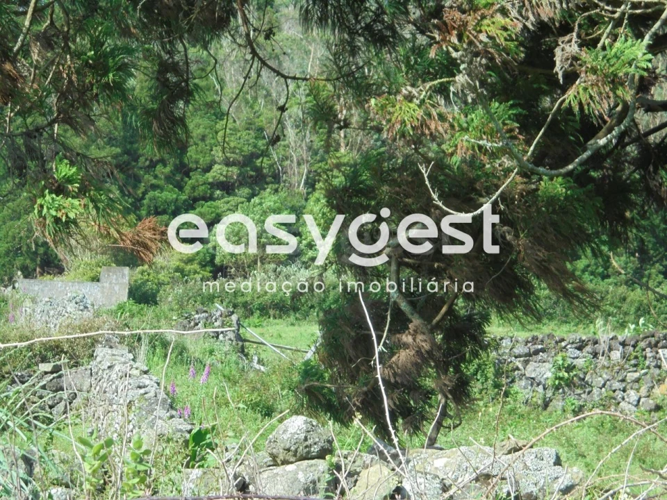 Terreno Agricola ou Rústico para Venda em Terra Chã Foto 6