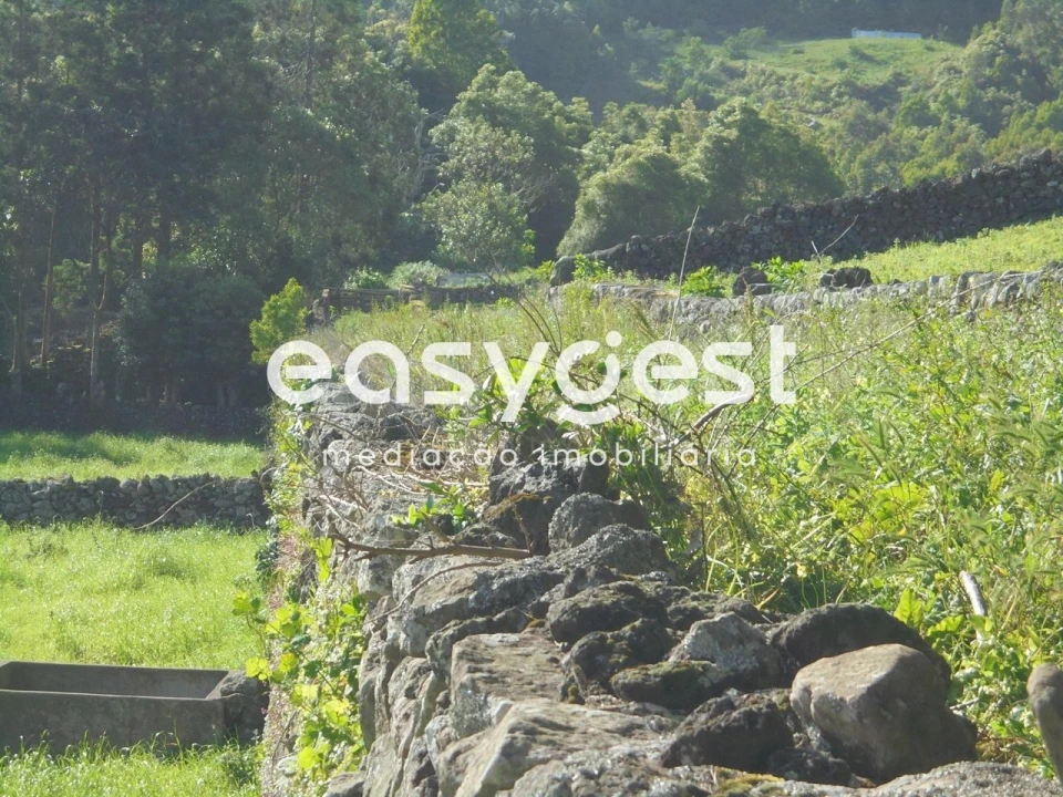 Terreno Agricola ou Rústico para Venda em Terra Chã Foto 7