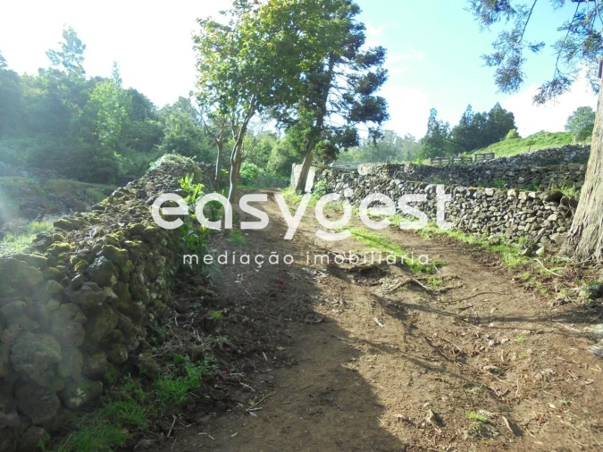 Terreno Agricola ou Rústico para Venda em Terra Chã Foto 2