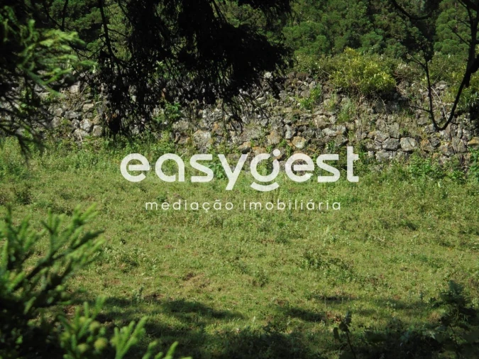 Terreno Agricola ou Rústico para Venda em Terra Chã Foto 3