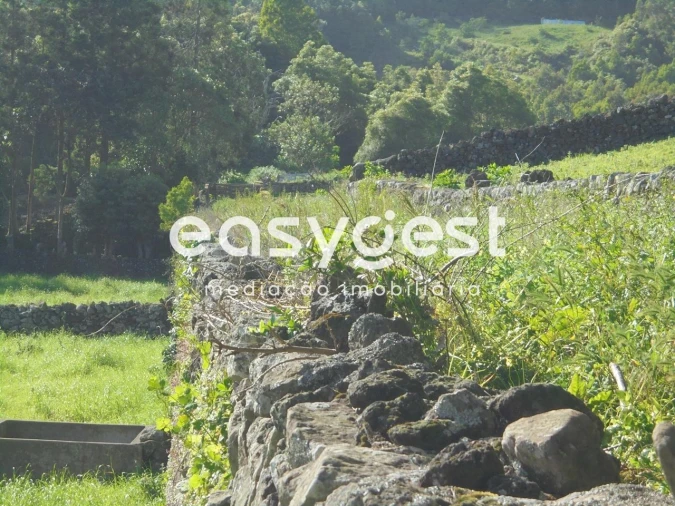 Terreno Agricola ou Rústico para Venda em Terra Chã Foto 7