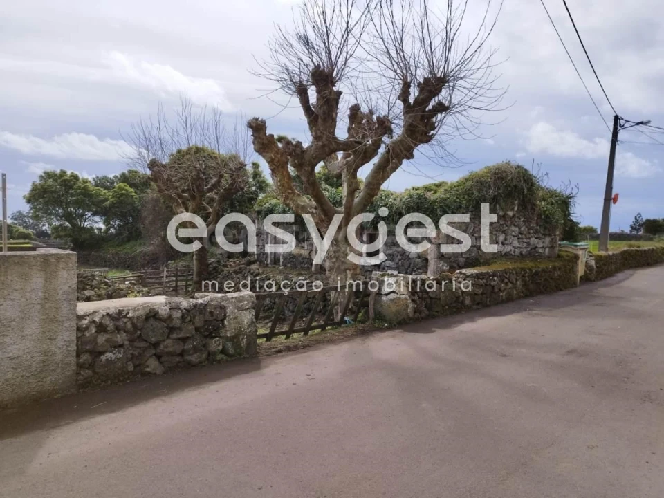 Moradia T3 para Venda em São Bartolomeu de Regatos Foto 3