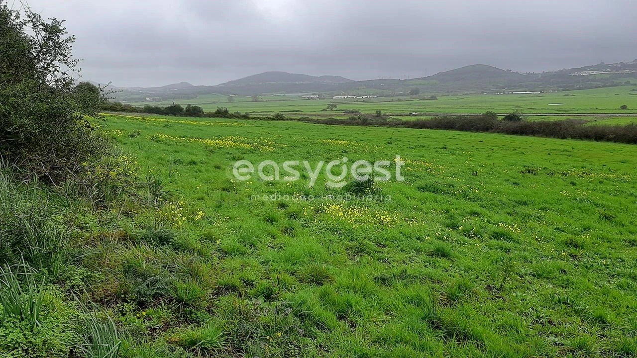 Terreno Agricola ou Rústico para Venda em Almargem do Bispo, Pêro Pinheiro e Montelavar Foto 2