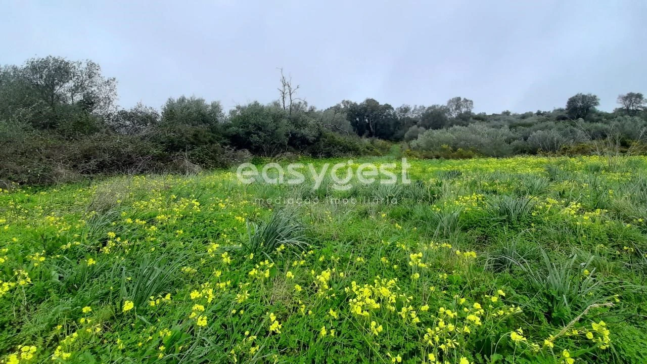 Terreno Agricola ou Rústico para Venda em Almargem do Bispo, Pêro Pinheiro e Montelavar Foto 4