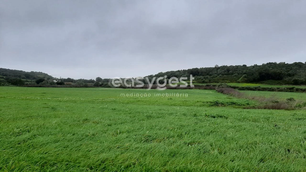 Terreno Agricola ou Rústico para Venda em Almargem do Bispo, Pêro Pinheiro e Montelavar Foto 6