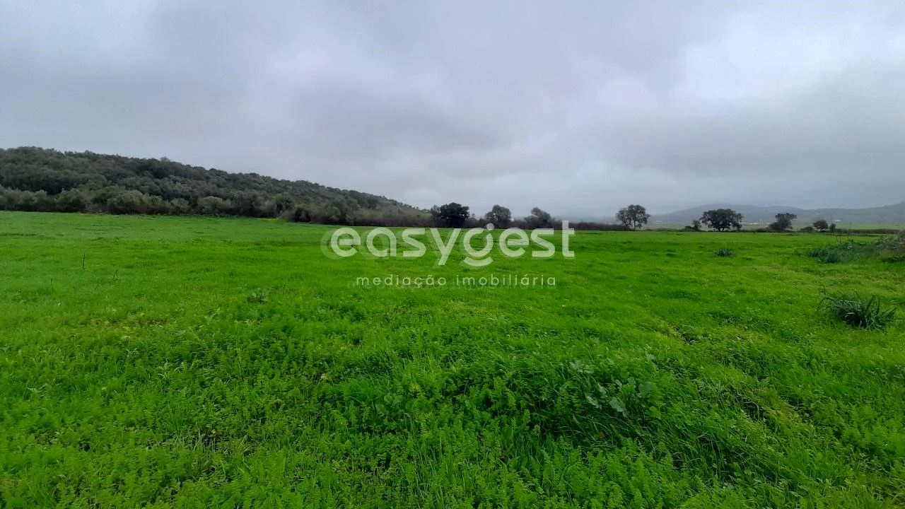 Terreno Agricola ou Rústico para Venda em Almargem do Bispo, Pêro Pinheiro e Montelavar Foto 8