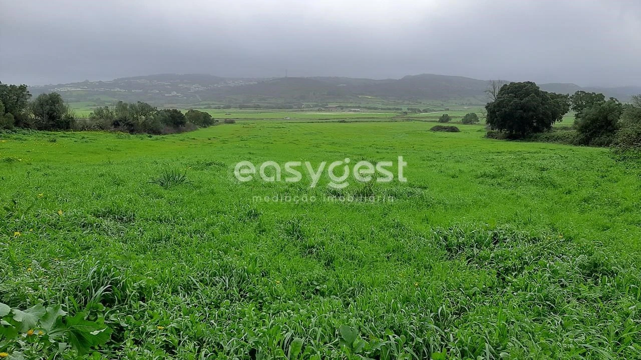 Terreno Agricola ou Rústico para Venda em Almargem do Bispo, Pêro Pinheiro e Montelavar Foto 11