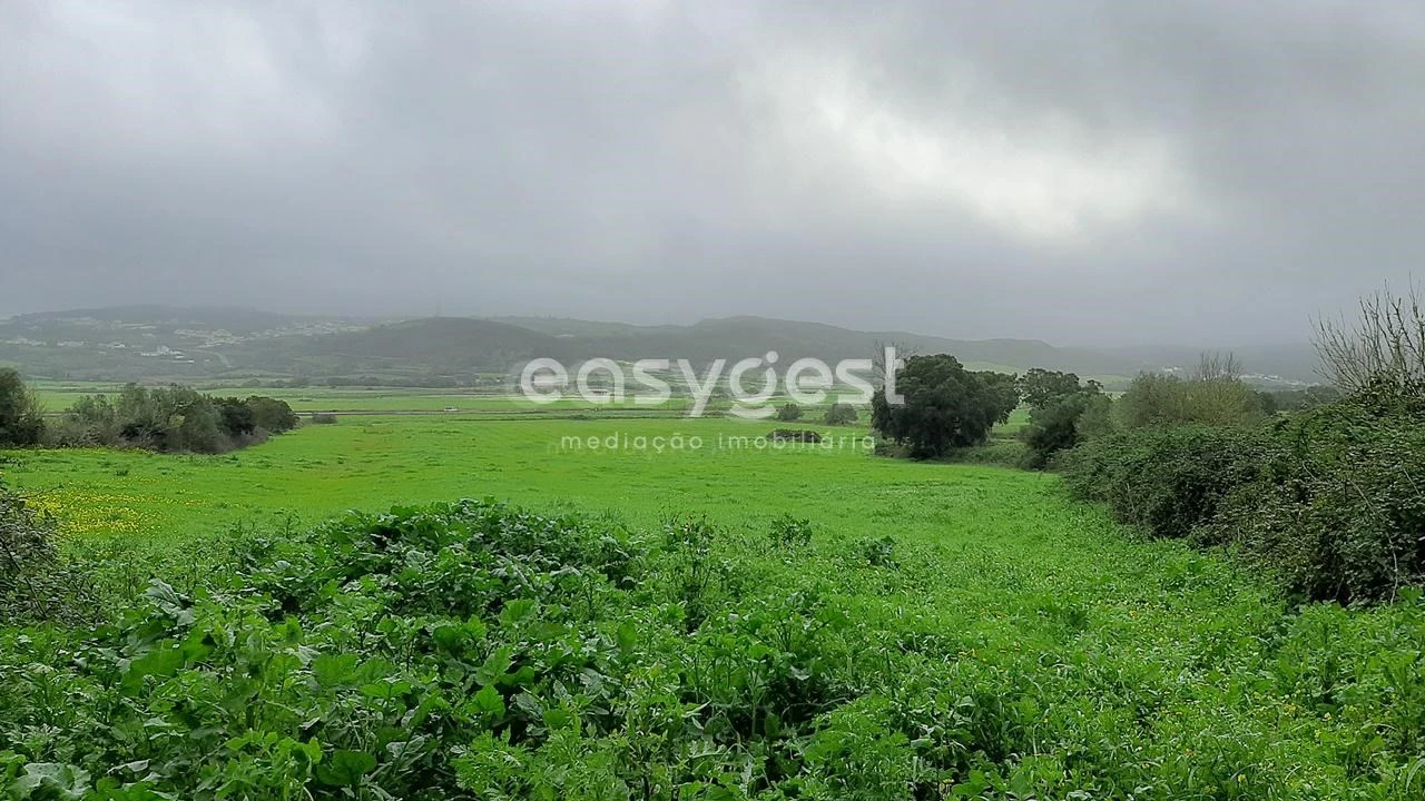 Terreno Agricola ou Rústico para Venda em Almargem do Bispo, Pêro Pinheiro e Montelavar Foto 12