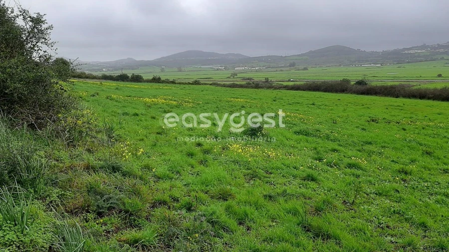 Terreno Agricola ou Rústico para Venda em Almargem do Bispo, Pêro Pinheiro e Montelavar Foto 2