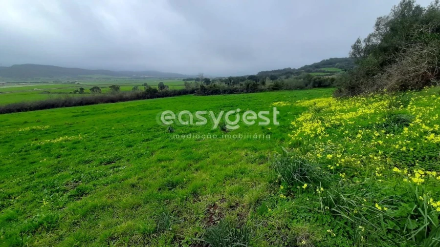 Terreno Agricola ou Rústico para Venda em Almargem do Bispo, Pêro Pinheiro e Montelavar Foto 3