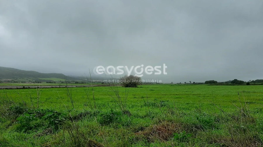 Terreno Agricola ou Rústico para Venda em Almargem do Bispo, Pêro Pinheiro e Montelavar Foto 5