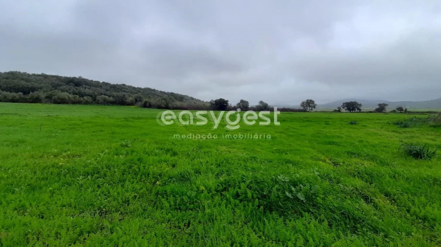 Terreno Agricola ou Rústico para Venda em Almargem do Bispo, Pêro Pinheiro e Montelavar Foto 8