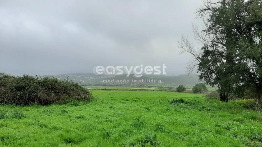 Terreno Agricola ou Rústico para Venda em Almargem do Bispo, Pêro Pinheiro e Montelavar Foto 9