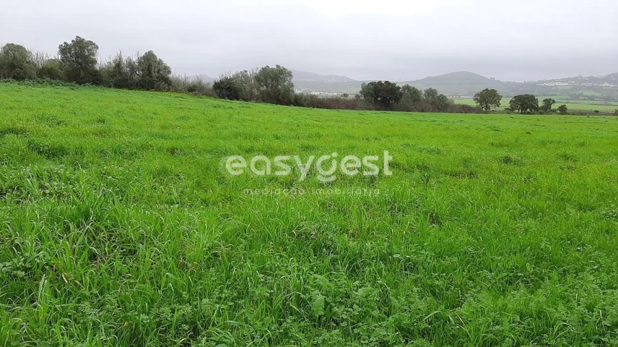 Terreno Agricola ou Rústico para Venda em Almargem do Bispo, Pêro Pinheiro e Montelavar Foto 10
