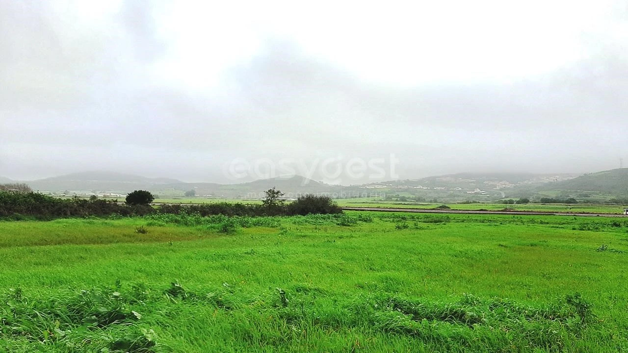 Terreno Agricola ou Rústico para Venda em Almargem do Bispo, Pêro Pinheiro e Montelavar Foto 3
