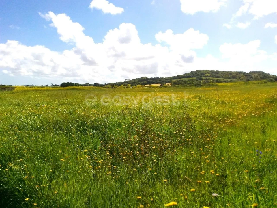 Terreno Agricola ou Rústico para Venda em Almargem do Bispo, Pêro Pinheiro e Montelavar Foto 4