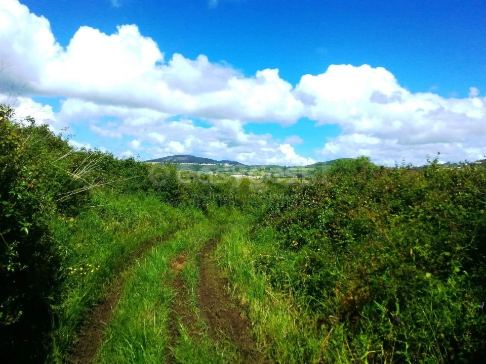 Terreno Agricola ou Rústico para Venda em Almargem do Bispo, Pêro Pinheiro e Montelavar Foto 5